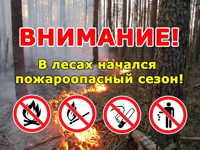С 16 мая 2023 года на территории Новгородской области действует ОСОБЫЙ ПРОТИВОПОЖАРНЫЙ РЕЖИМ на землях лесного фонда.